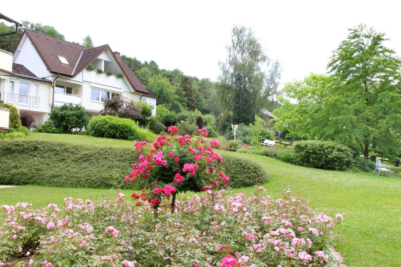 Haus Am Steinberg Appartement Bad Driburg Buitenkant foto
